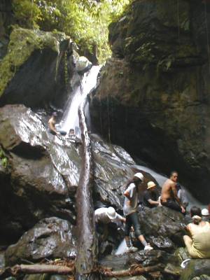 Cascada principal