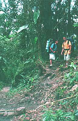 Desvo en la Quebrada La Coromoto
