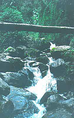 Cruzando la Quebrada del Oso