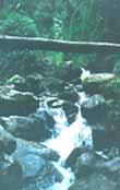 Crossing 		Quebrada del Oso