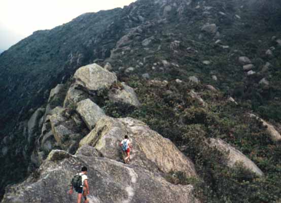 Subiendo al Pico Naiguat