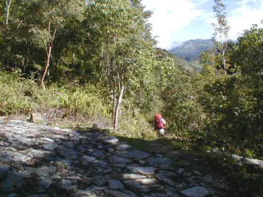 Sendero a lo largo del ro