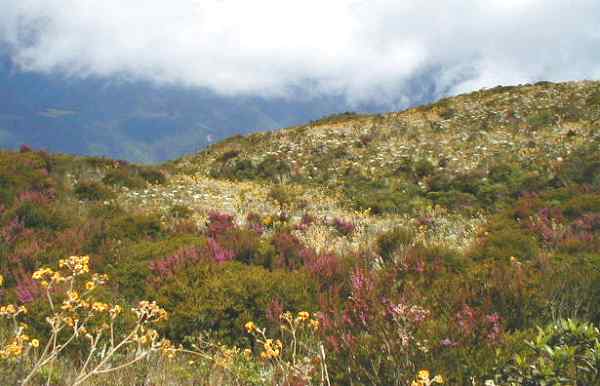 Llegando a Quintana