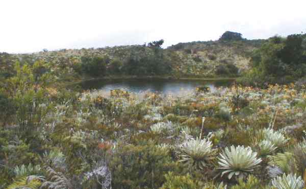 Laguna de Quintana