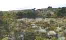 Quintana Lagoon