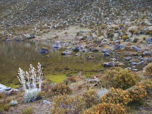 Orilla de la primera laguna