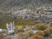 Orilla de la primera laguna