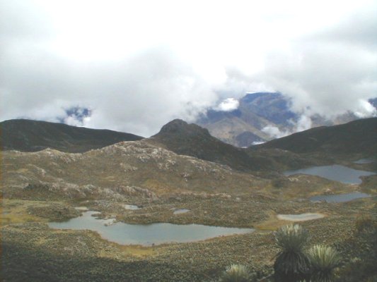Laguna #6