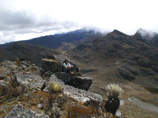 Camino a seguir