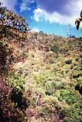 Colina al este de la Quebrada Quintero