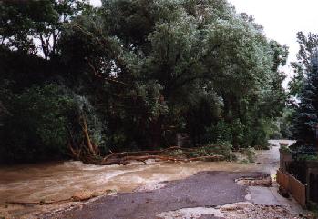 Sattelbach bei der Bachbrcke in Grub