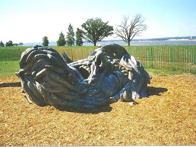 Awakening at Haines Point