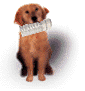 DOGWATCHLIST.GIF (3230 bytes)