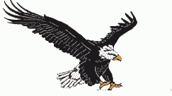 eagle